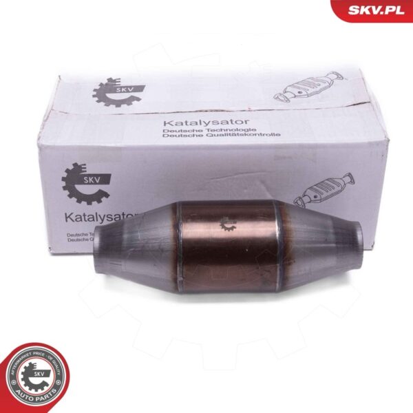 Katalizator 62SKV119